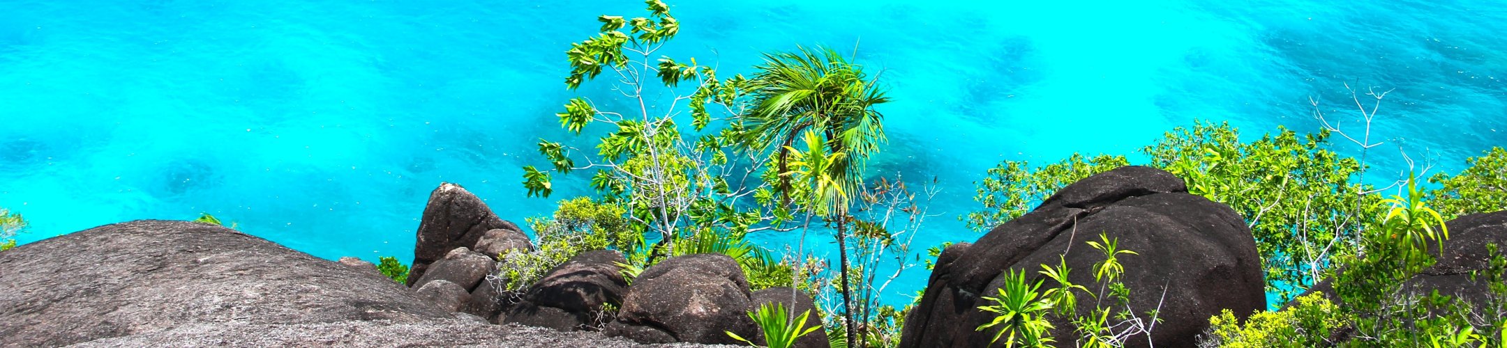 ABS and genetic resources from the Caribbean parts of the Netherlands