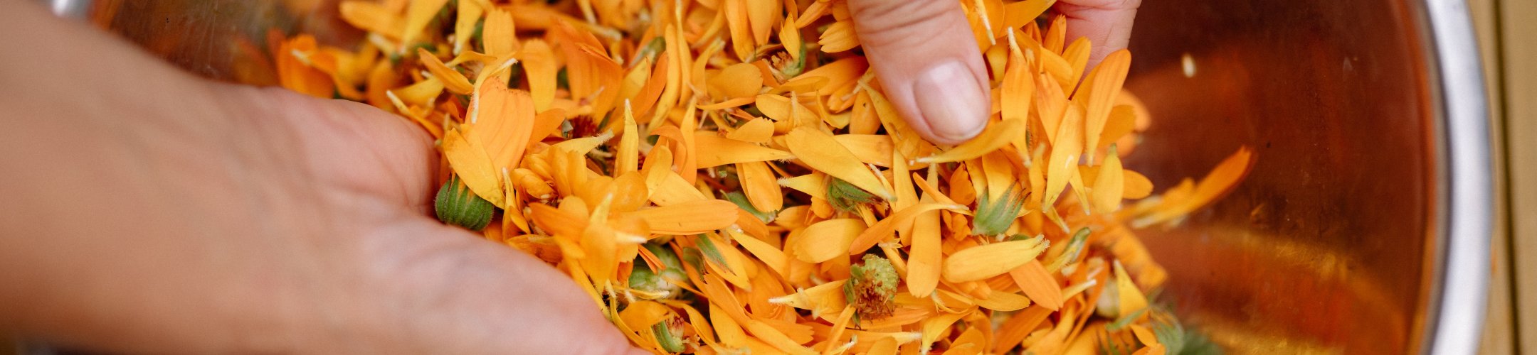 Are you a user of genetic resources?