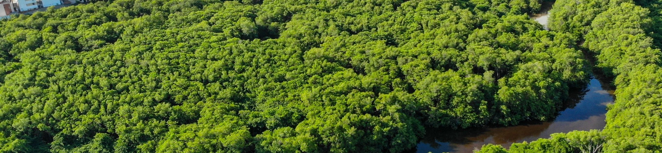 Brazil 130th Party to the Nagoya Protocol