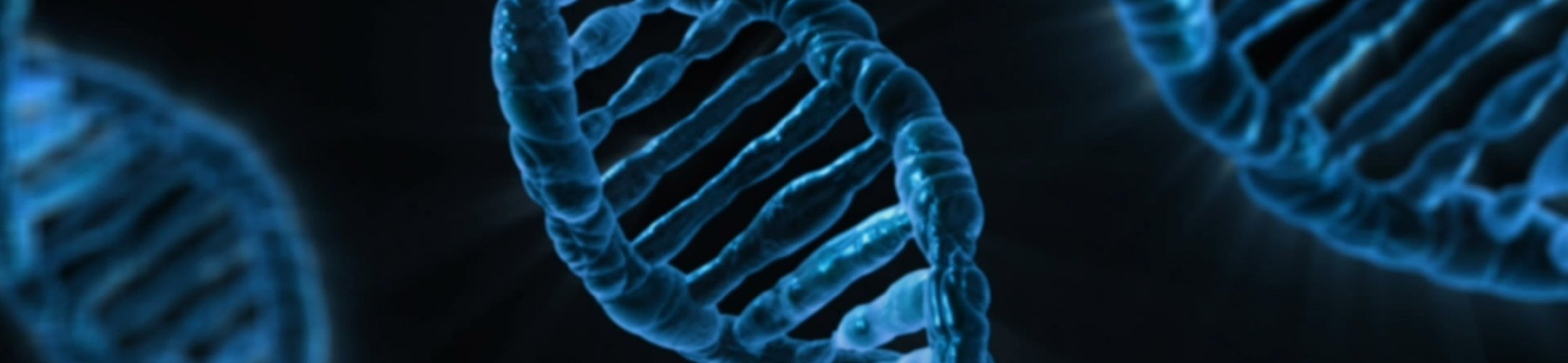 Current status of the CBD discussions on Digital Sequence Information (DSI) on genetic resources