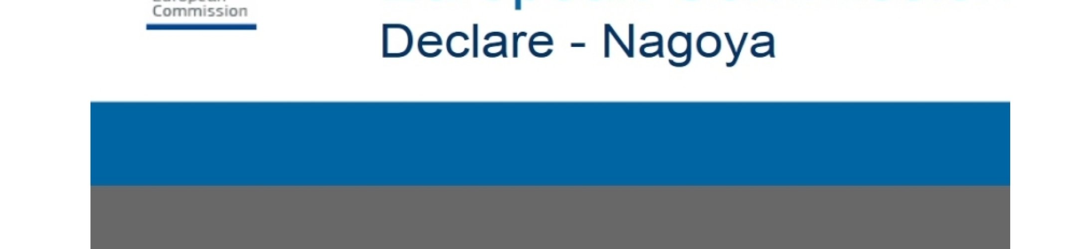 DECLARE tool for due diligence declarations now open