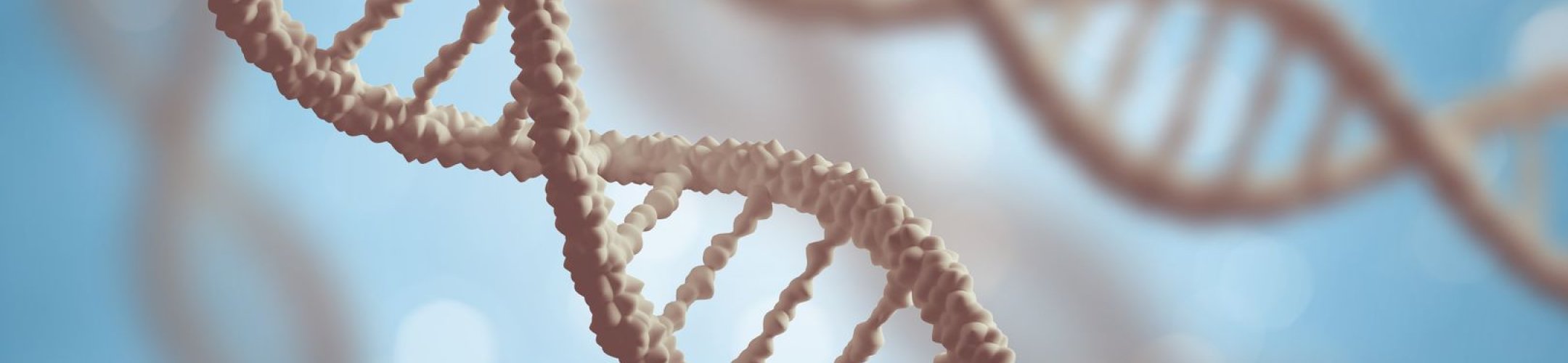 Digital Sequence Information (DSI): countdown to COP-16