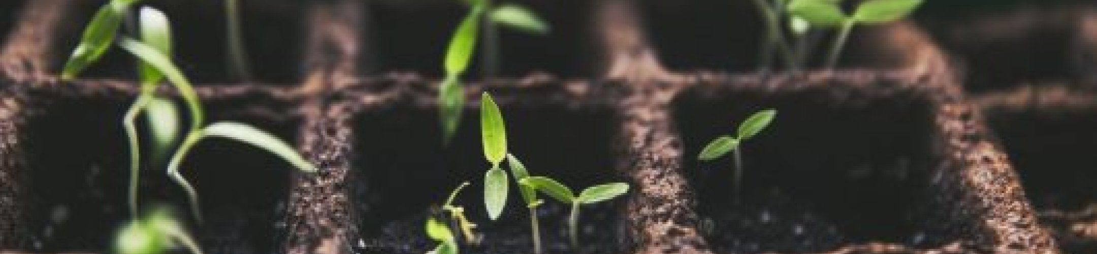 Does the work of service providers fall under the EU ABS Regulation?