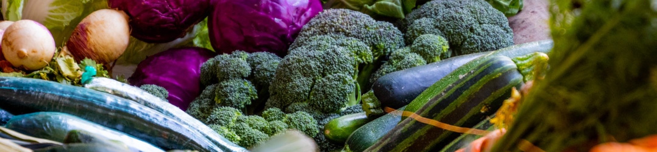 Dutch seed company Bejo pays into Benefit-sharing Fund