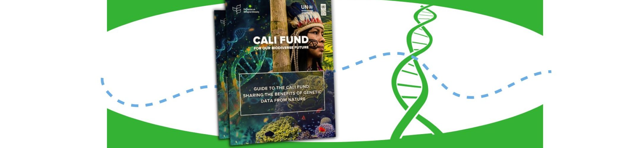 Guide and management page of the Cali Fund