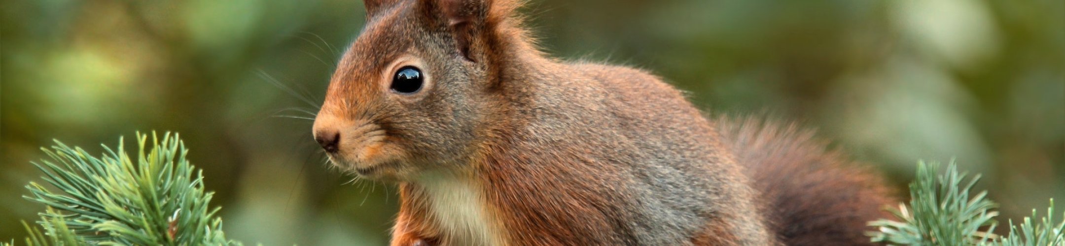 How to minimise your administrative burden for ABS