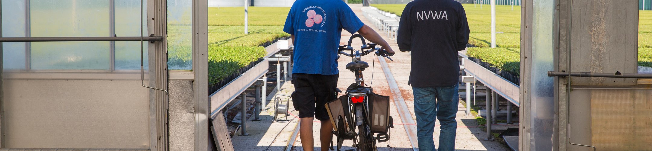 Inspections on EU ABS Regulation compliance in the Netherlands