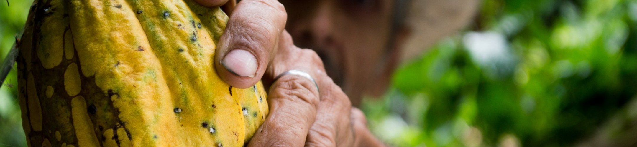 International instruments on ABS: CBD, Nagoya Protocol and EU regulations