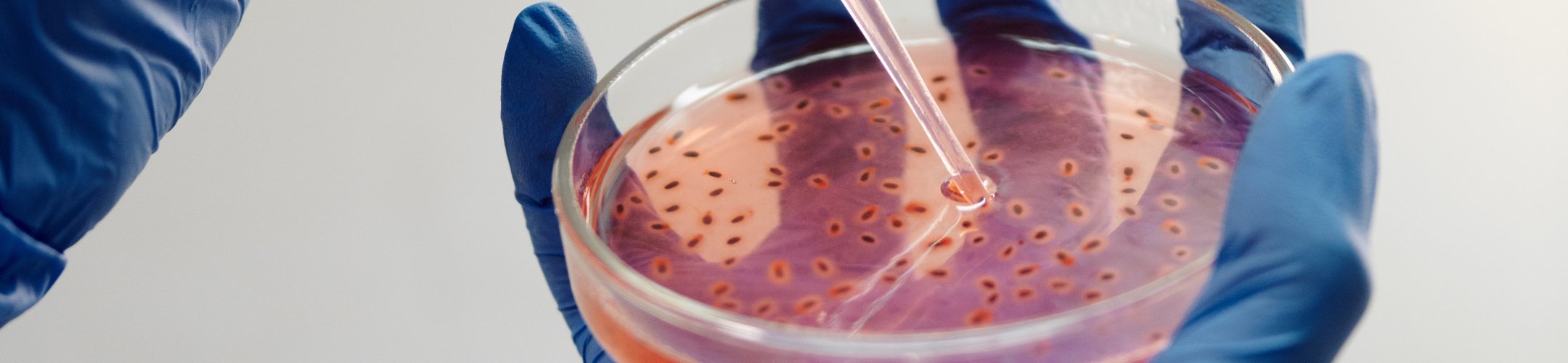 Minimising your administrative burden: EU registered collections