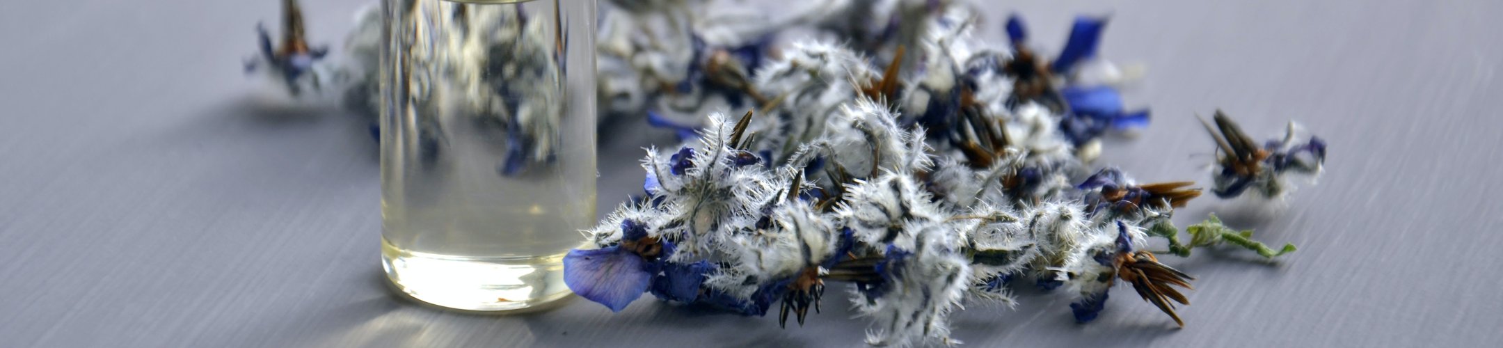 New NVWA inspector for Nagoya Protocol