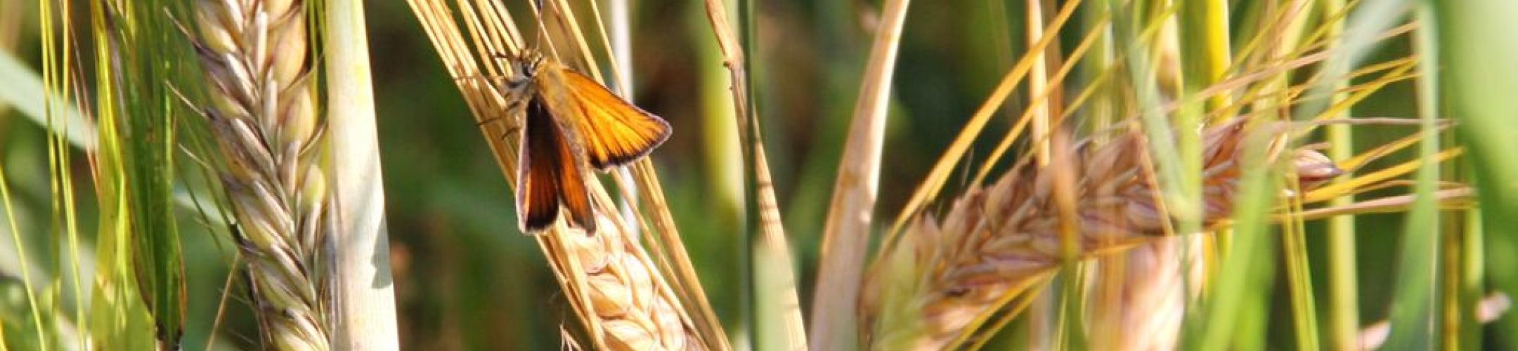 New interactive tool to help you comply with the EU ABS Regulation