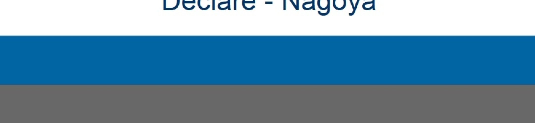 New version of DECLARE launched