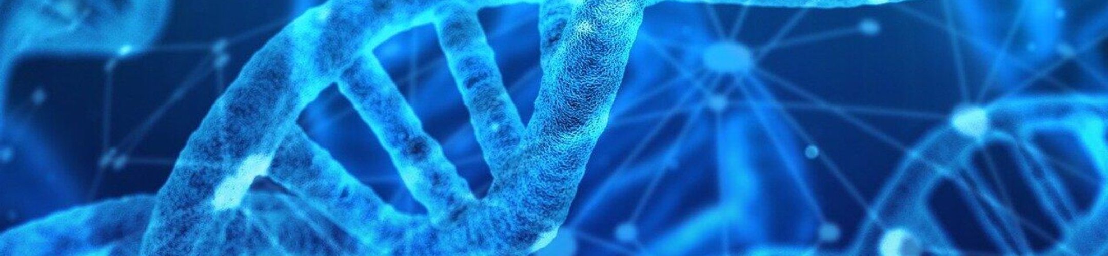 Policy options for Access and Benefit-Sharing (ABS) and Digital Sequence Information (DSI)