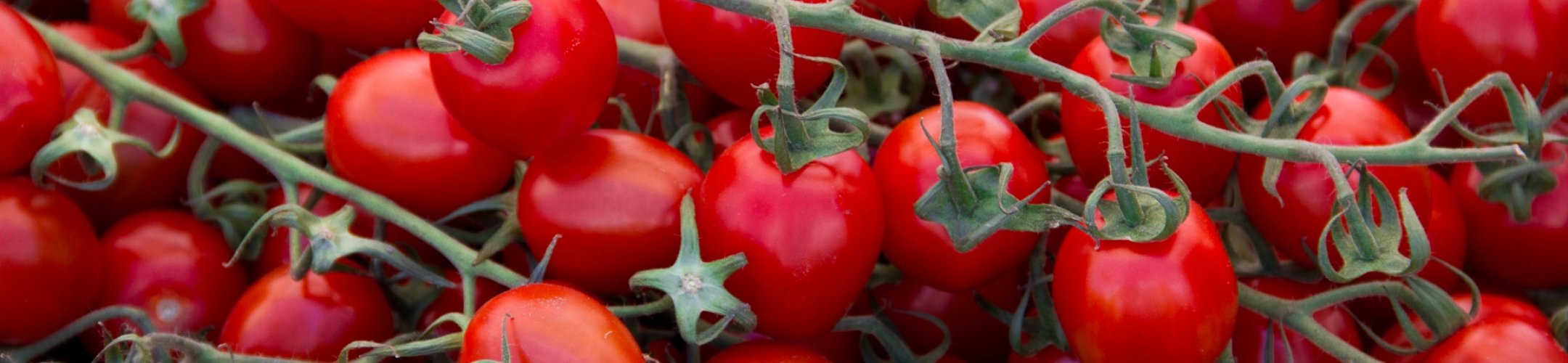 September meeting on Enhancement of the Multilateral System of the ITPGRFA: one step forward, two steps back?