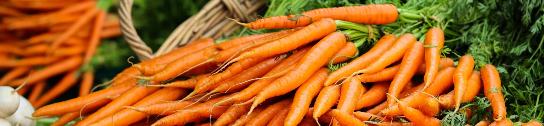 Specialised international ABS instruments: the ITPGRFA