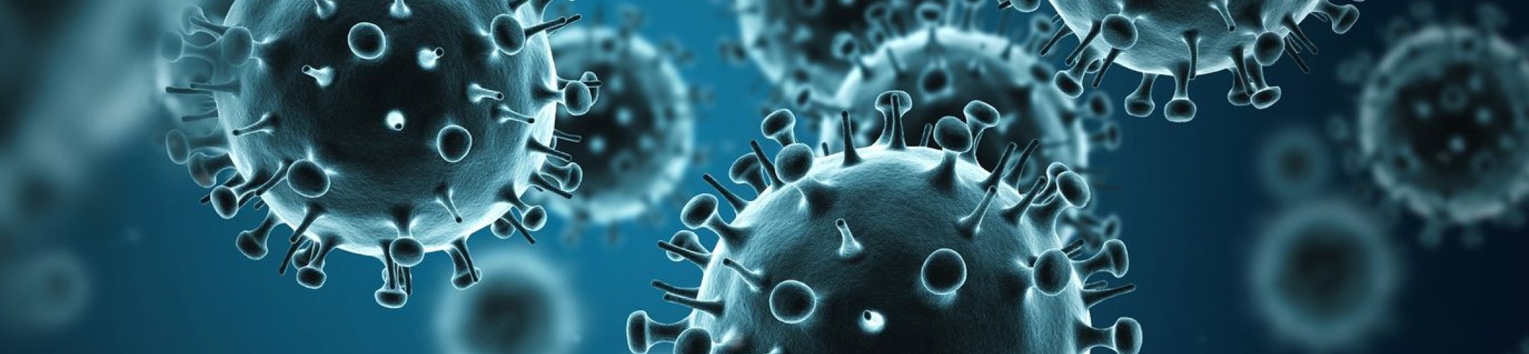 Specialised international ABS instruments: the PIP Framework