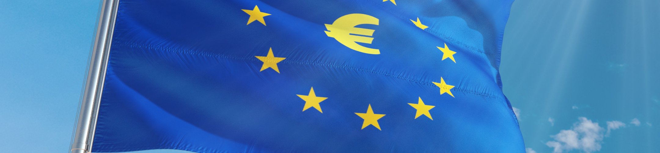 Survey on the implementation of the EU ABS Regulation