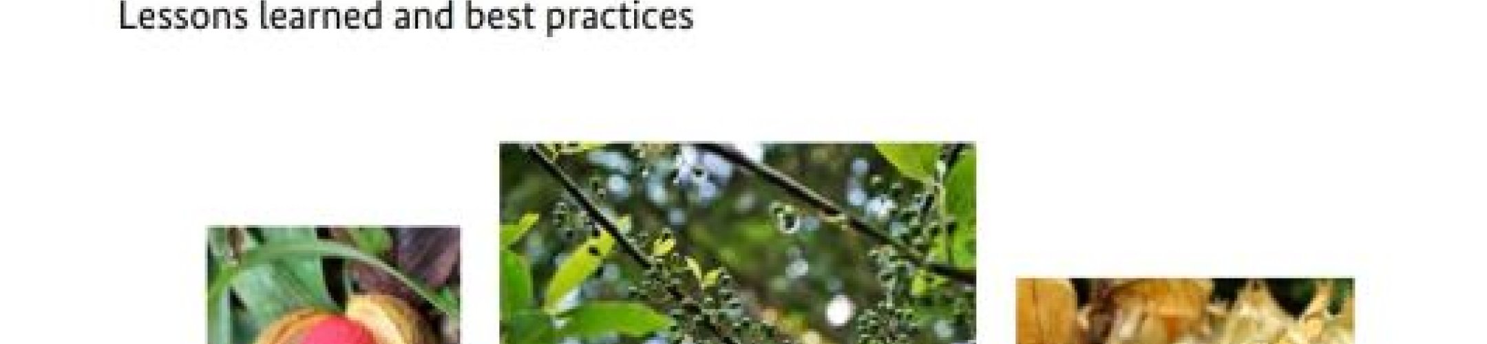 The contribution of ABS to the Sustainable Development Goals