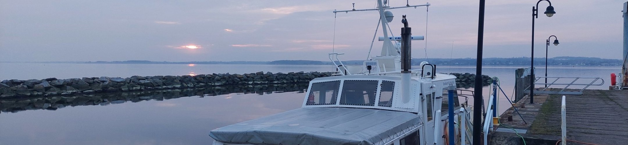 User perspectives on the sharing of benefits from the use of Digital Sequence Information  (DSI) on genetic resources