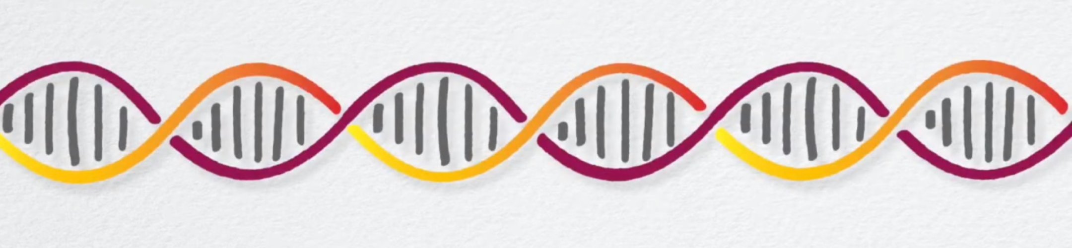 What is Digital Sequence Information (DSI) about?