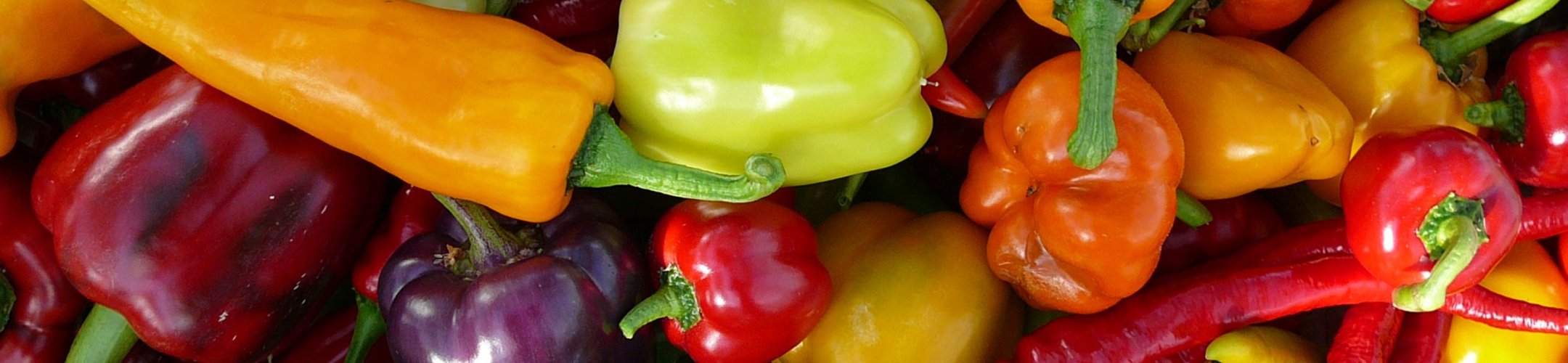 Your experiences with Access and Benefit-Sharing (ABS) measures in obtaining genetic resources for food and agriculture