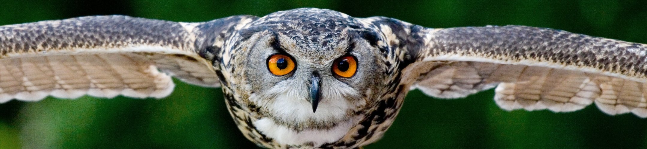 Compliance and administration