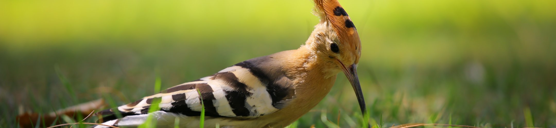 Which rules and why?