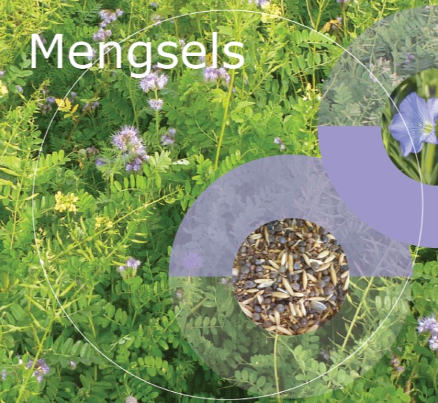 Mengsels