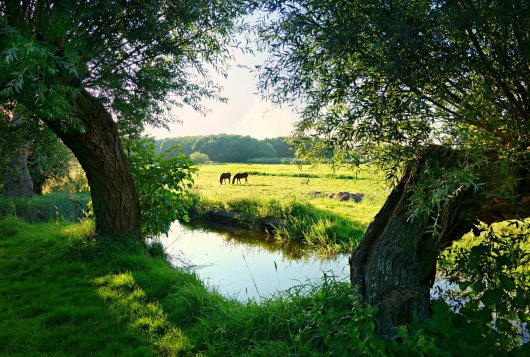 Nederlands landschap Nederlands landschap