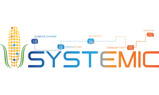 SYSTEMIC-logo_0.png SYSTEMIC-logo_0.png