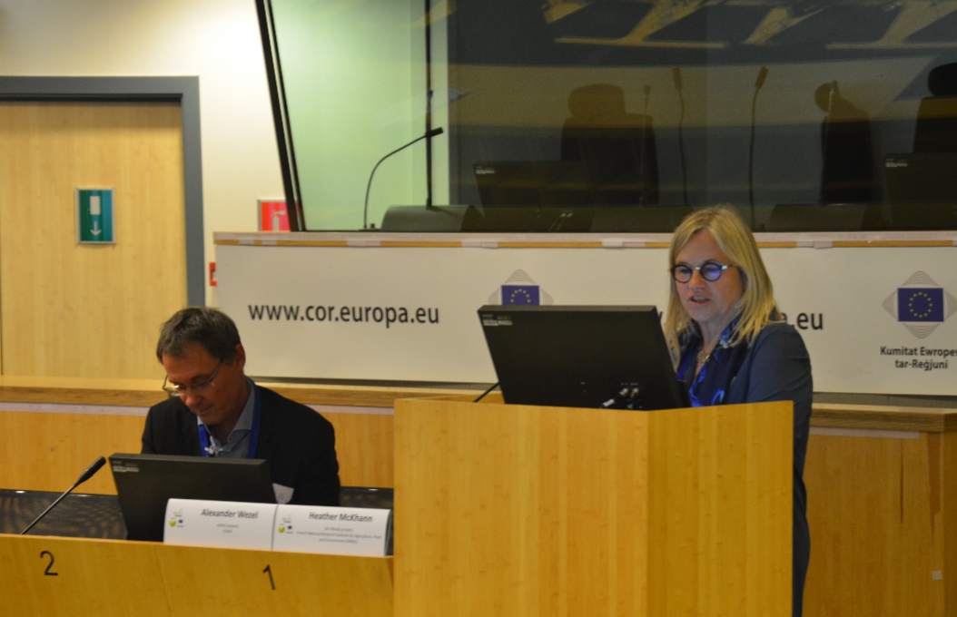 Concluding remarks and closing of the conference by Heather McKhann (INRAE), coordinator of the ALL-Ready project and Alexander Wezel (ISARA), coordinator of the AE4EU project. (Source: FiBL, Lisa Haller) Concluding remarks and closing of the conference by Heather McKhann (INRAE), coordinator of the ALL-Ready project and Alexander Wezel (ISARA), coordinator of the AE4EU project. (Source: FiBL, Lisa Haller)