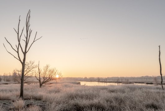 Winter Winter