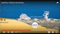 Figure 4. Screenshot of animation 3 visualising the different sensitivities of habitats to trawling. Figure 4. Screenshot of animation 3 visualising the different sensitivities of habitats to trawling.