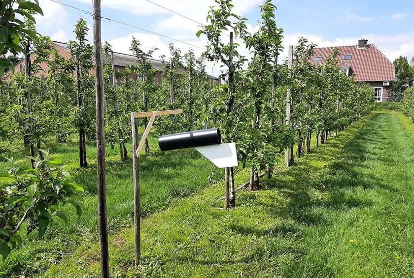 Photo trap: This experimental trap was developed by researchers in New Zealand. It consists of a large tube that turns with the windand features a trap and bait specially tailored to the brown marmorated stink bug. Photo trap: This experimental trap was developed by researchers in New Zealand. It consists of a large tube that turns with the windand features a trap and bait specially tailored to the brown marmorated stink bug.