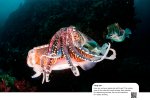 Billboards 190x117cm Future of animals 230912-8.jpg
